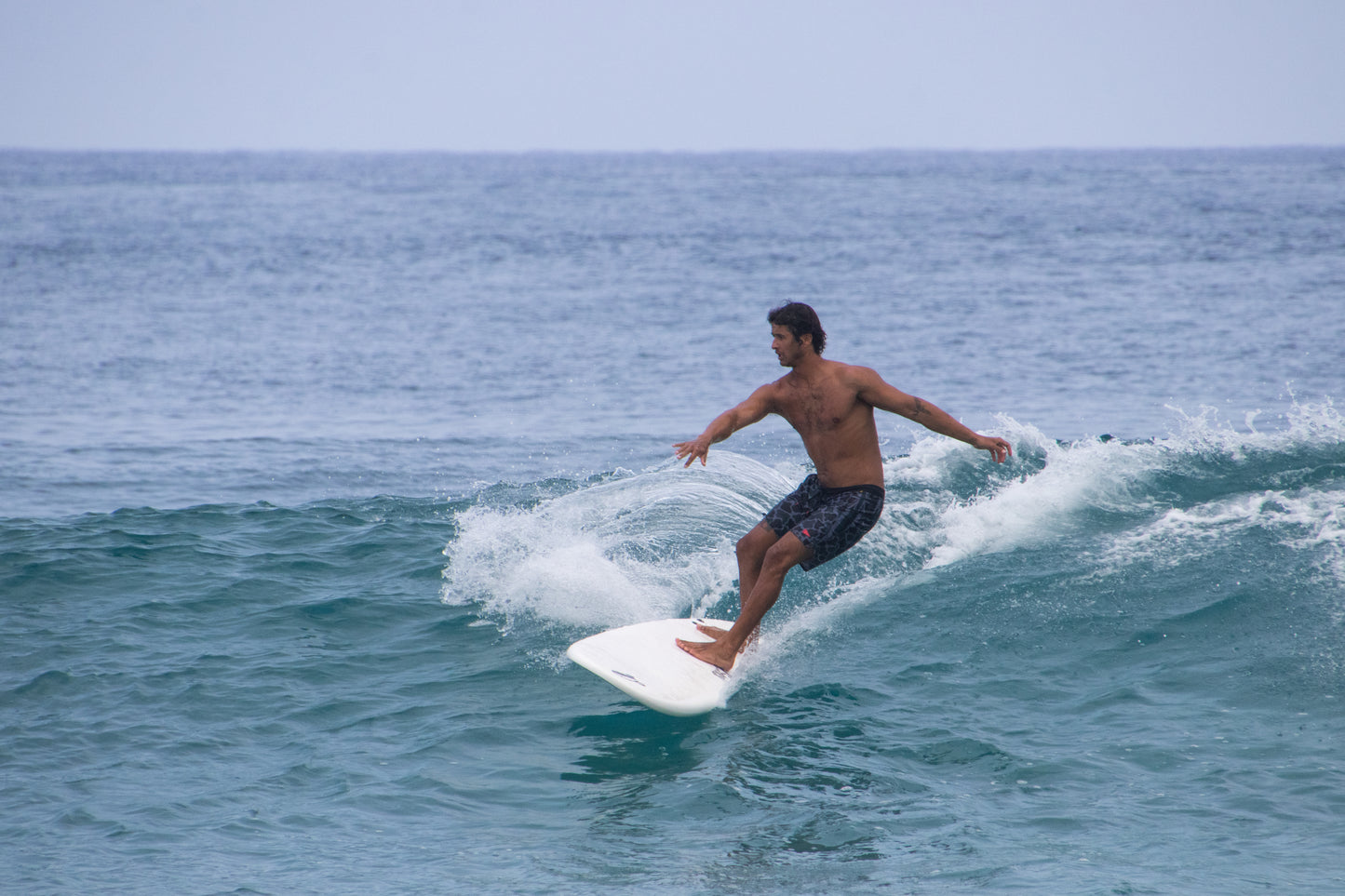 8' BIG SOFTY longboard (3-fin)