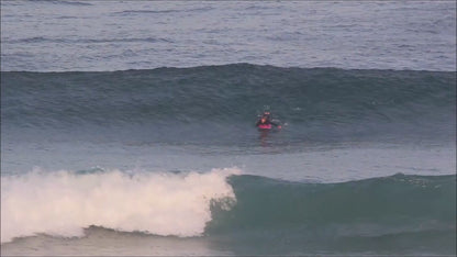 6' ALBERT FISH Surfboard